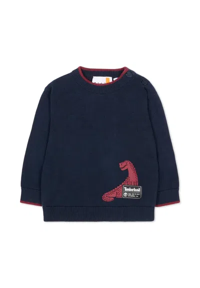 Timberland Blue Sweater For Baby Boy With Dinosaur