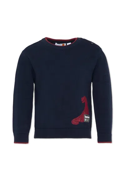 Timberland Kids' Blue Sweater For Boy With Dinosaur