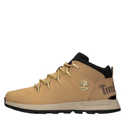 Timberland Boots In Brown