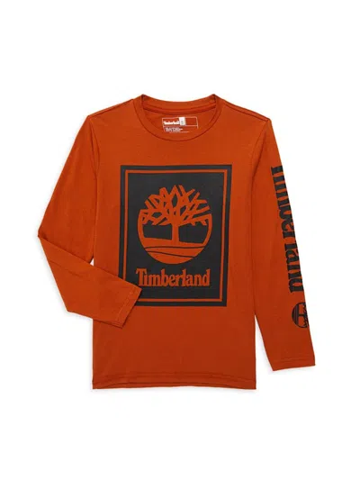 Timberland Kids' Boy's Logo Graphic T Shirt In Umber