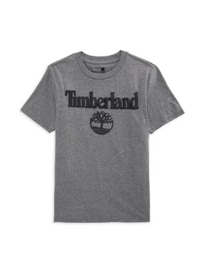 Timberland Babies' Boy's Logo Tee In Grey