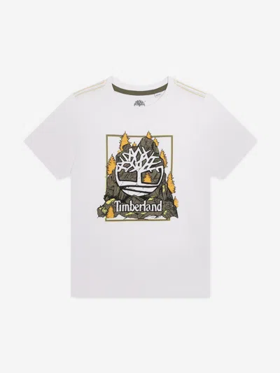 Timberland Babies'  Boys Logo Print T-shirt In White