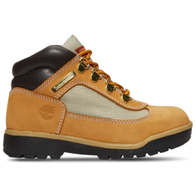 Timberland Kids' Boys Preschool   Field Boots In Brown