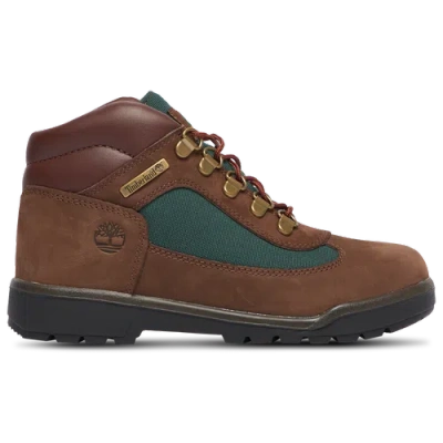 Timberland Kids' Boys  Chukka Field Boots In Green/brown