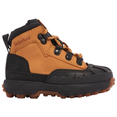Timberland Kids' Boys   Converge Shell Toe Boots In Black/wheat