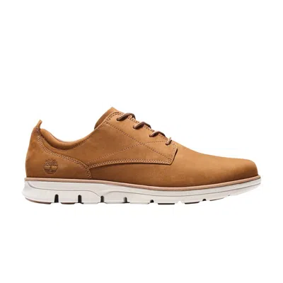 Pre-owned Timberland Bradstreet Plain Toe Oxford 'rust' | Brown | Men's Size 11.5