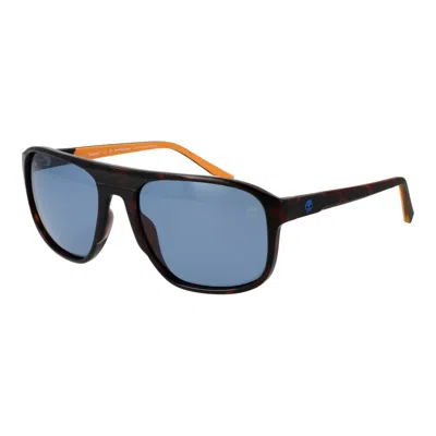 Timberland Brown Men Sunglasses In Blue