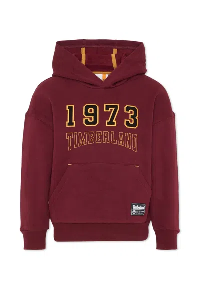 Timberland Kids' Burgundy Sweatshirt For Boy With Logo