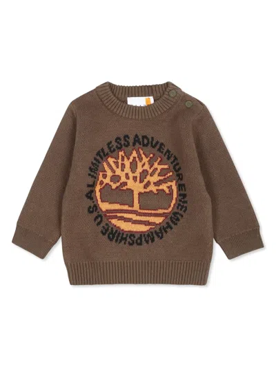 Timberland Babies' Buttoned-crew Neck Jumper In Green