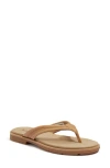 Timberland Calista Bay Flip Flop In Medium Beige Full Grain