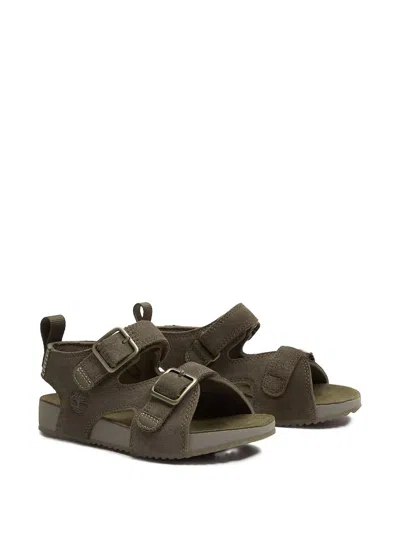 Timberland Kids' Castel Island Youth Sandals In Green