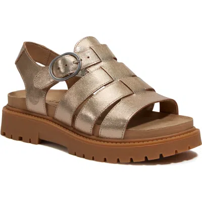 Timberland Clairemont Way Fisherman Sandal In Gold Metallic