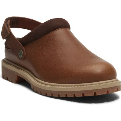 Timberland Clog In Brown