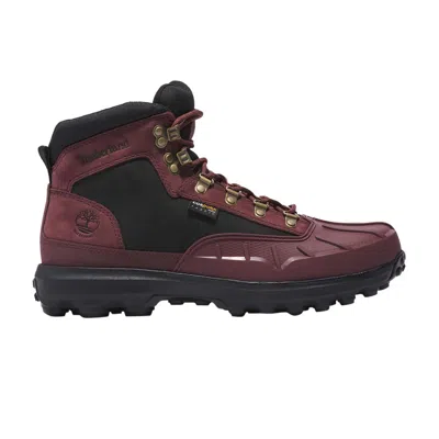 Pre-owned Timberland Converge Mid Boot 'burgundy' In Purple