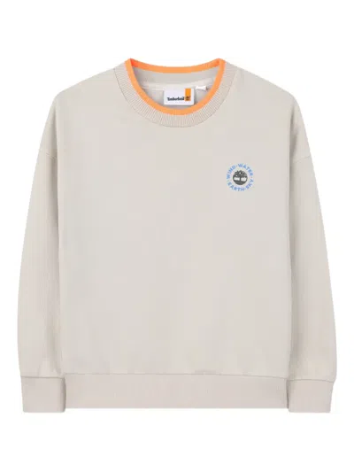 Timberland Crew-neck Graphic Sweatshirt In Neutral