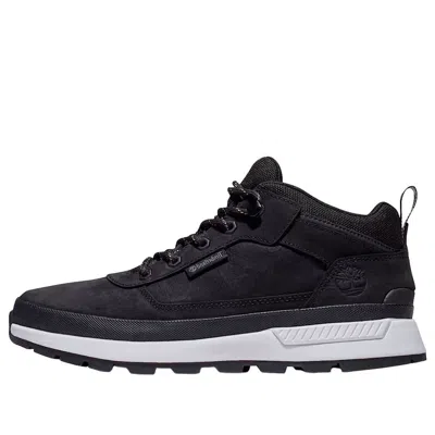 Timberland Field Trekker 'black'