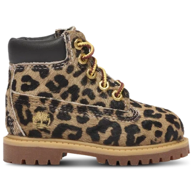 Timberland Kids' Girls Premium 6" Waterproof Boots In Brown
