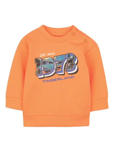 Timberland Babies' Graphic-print Crew-neck Sweatshirt In Orange