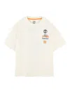 Timberland T-shirt In Cotone Con Stampa Grafica  In Multi