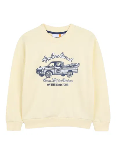 Timberland Graphic Sweatshirt In Multi