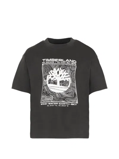 Timberland Graphic T-shirt In Gray