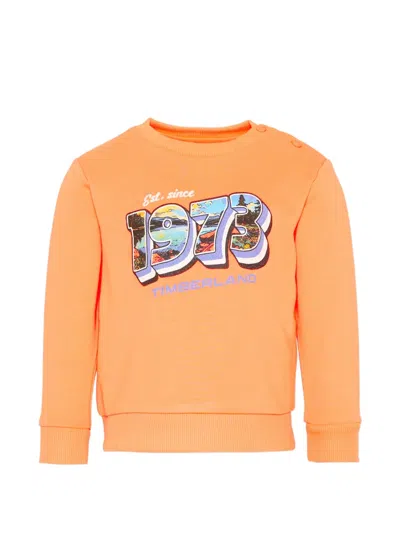 Timberland Kids' Graphic-print Sweater In Pattern