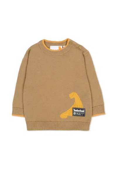 Timberland Green Sweater For Baby Boy With Dinosaur