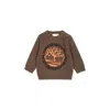 Timberland Green Sweater For Baby Boy With Logo In Green