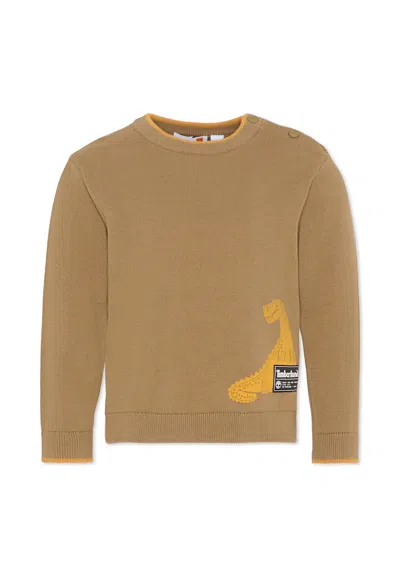 Timberland Kids' Green Sweater For Boy With Dinosaur In Brown