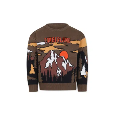 Timberland Kids' Green Sweater For Boy With Landscape