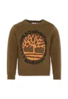 Timberland Green Sweater For Boy With Logo In Brown