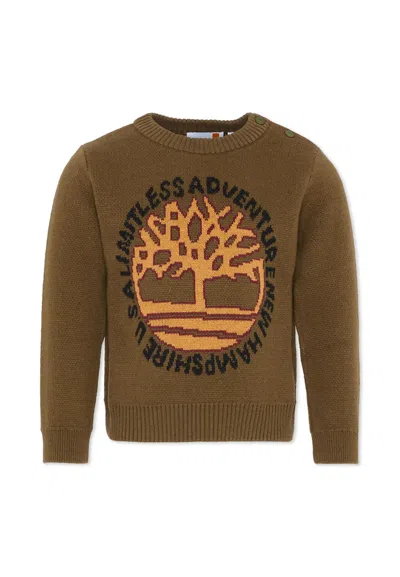 Timberland Kids' Green Sweater For Boy With Logo In Brown