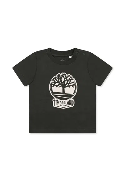Timberland Green T-shirt For Baby Boy With Tree