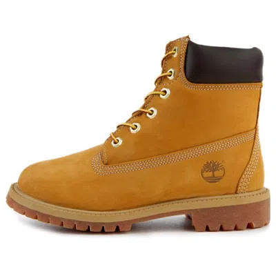 Timberland (gs)  6 Inch Classic Waterproof Boot 'wheat' In Multi
