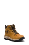 Timberland Kids' Mt. Maddsen Waterproof Hiking Boot In Wheat