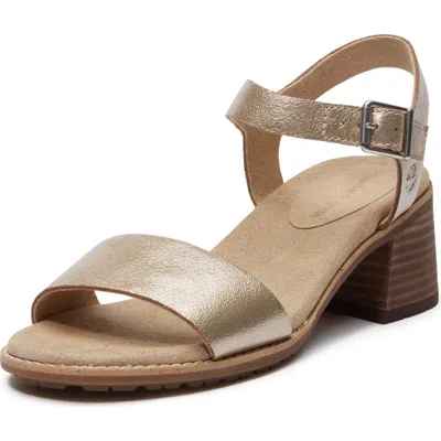 Timberland Laguna Shore Sandal In Gold
