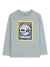 Timberland Long-sleeve Graphic-print T-shirt In Gray