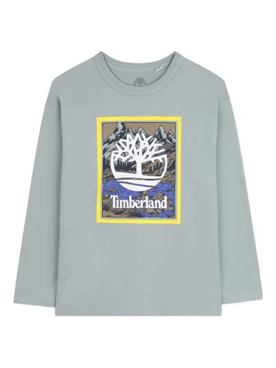 Timberland Kids' Long-sleeve Graphic-print T-shirt In Gray