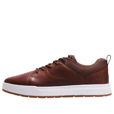 Timberland Maple Grove Trainer 'brown'