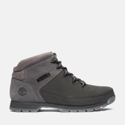 Timberland Men's Euro Sprint Hiking Boot In Multi