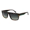 Timberland Brown Men Sunglasses In Brown