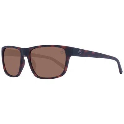 Timberland Men Men's Sunglasses In Brown