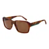 Timberland Brown Men Sunglasses In Brown