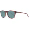 Timberland Brown Men Sunglasses In Brown