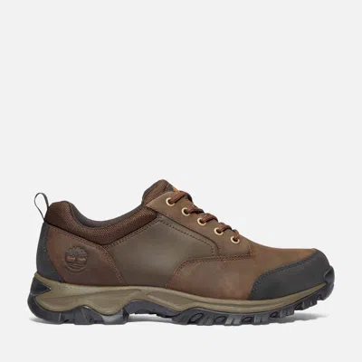 Timberland Men's Mt. Maddsen Waterproof Low Hiker Boot In Brown