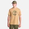 Timberland Men's Northwood Floral Tree Logo Short-sleeve T-shirt In Multi