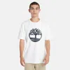 Timberland Eco-conscious Organic Tee With Print Detail In White
