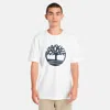 Timberland Eco-conscious Organic Tee With Print Detail In White