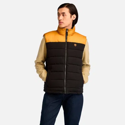 Timberland Men's South Twin Puffer Vest In Multi