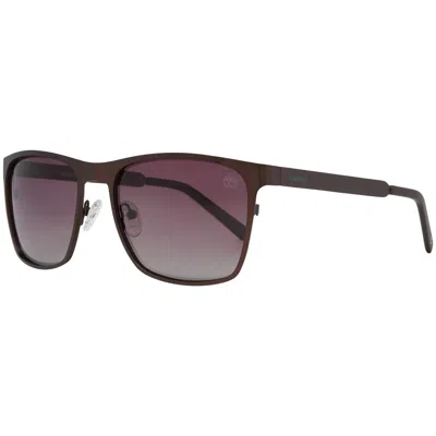 Timberland Men's Sunglasses  Tb7176-5749h  57 Mm Gbby2 In Purple